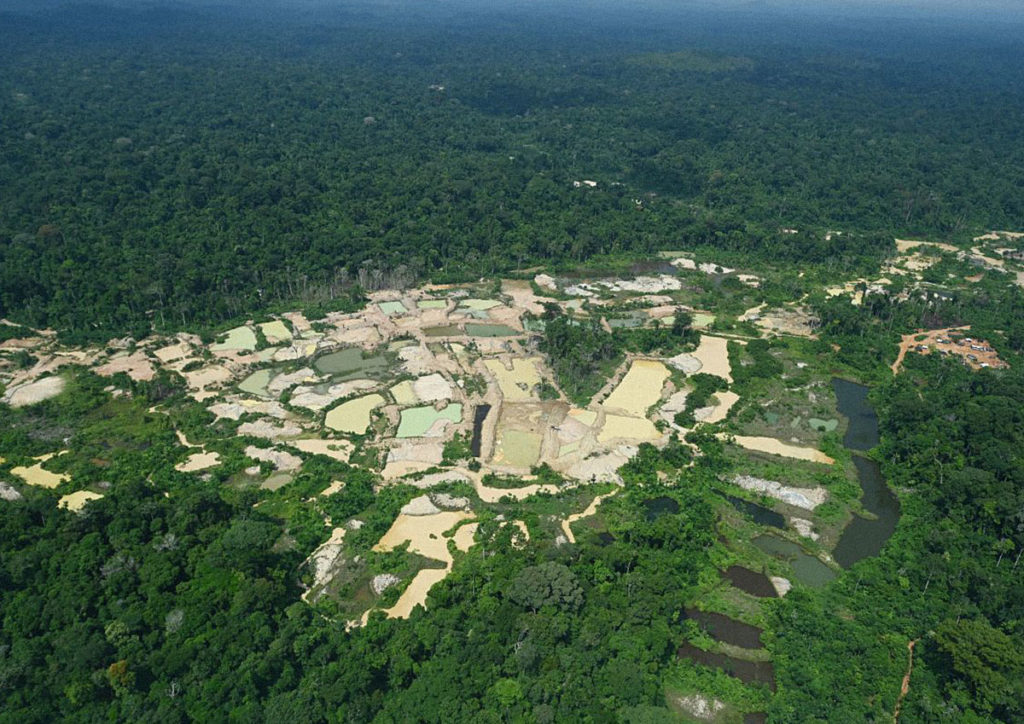 O aumento do garimpo ilegal foi superior a impressionantes 2000% em 5 anos e 100% da população Munduruku registra contaminação por mercúrio.