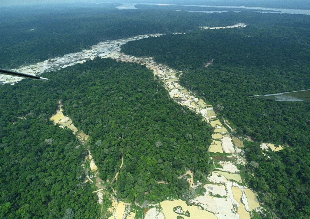 O aumento do garimpo ilegal foi superior a impressionantes 2000% em 5 anos e 100% da população Munduruku registra contaminação por mercúrio.