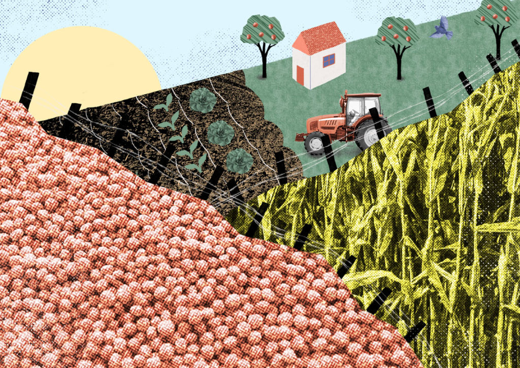 Agricultura agroecológica no Paraná