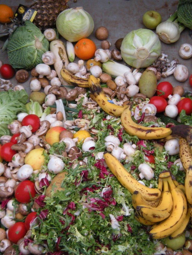 cropped-Trashed_vegetables_in_Luxembourg.jpeg