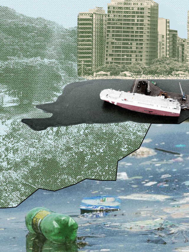 Especulação imobiliária ameaça Mata Atlântica no litoral paulista