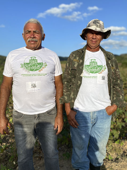 Agricultores de algodão agroecológico em Ingá (PB)