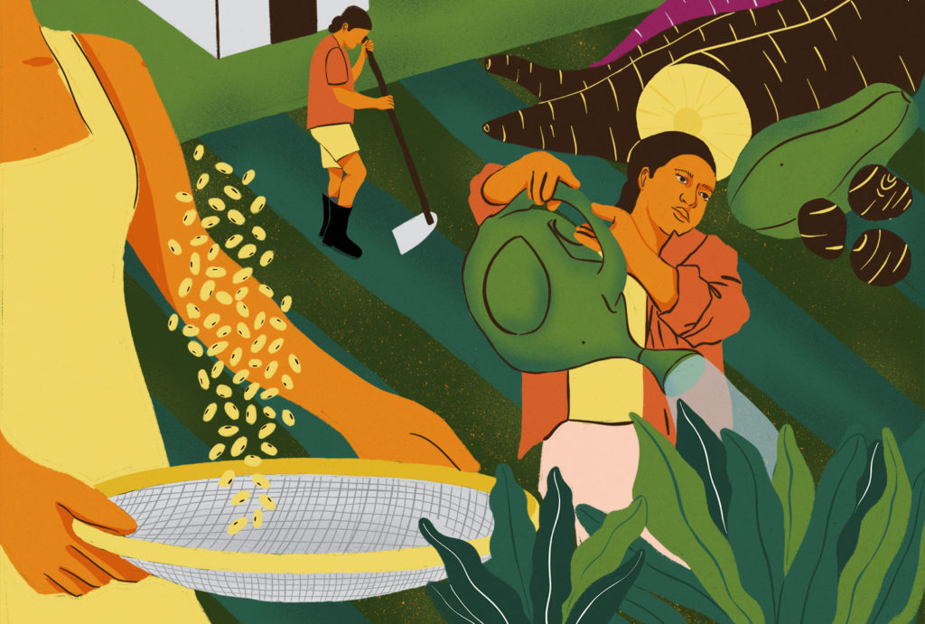 No Amazonas, insegurança alimentar grave atinge agricultura familiar, que sofre com as consequências da crise do clima. 