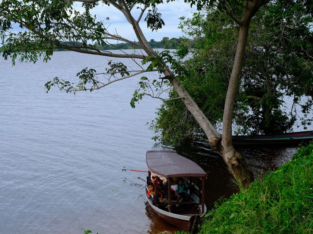 Rio Andirá, Amazonas (2022) por Alberto César Araújo