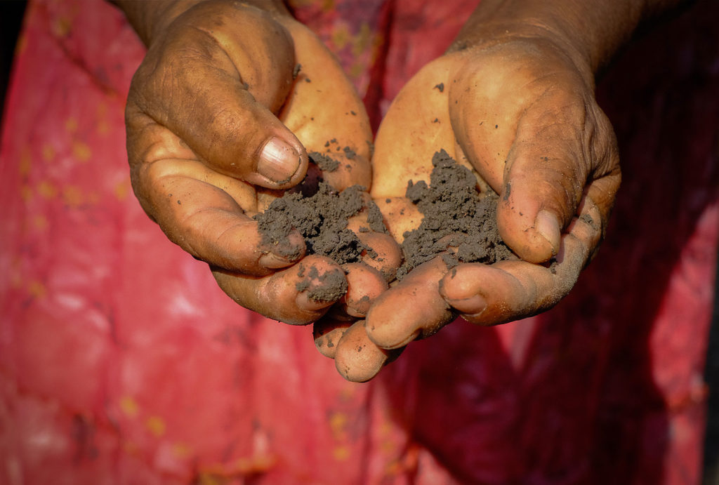 No Amazonas, insegurança alimentar grave atinge agricultura familiar, que sofre com as consequências da crise do clima.