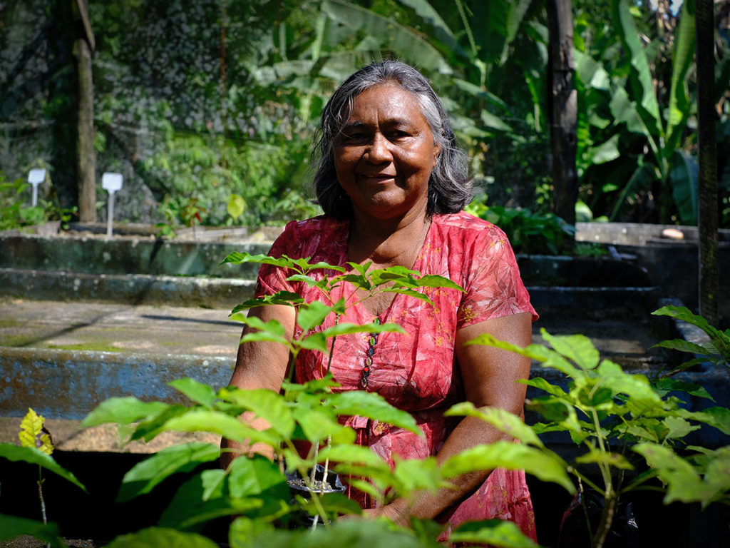 No Amazonas, insegurança alimentar grave atinge agricultura familiar, que sofre com as consequências da crise do clima.