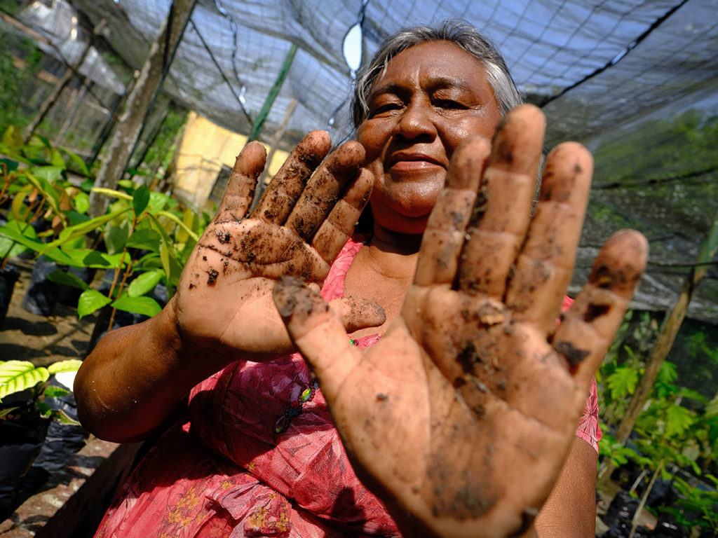 No Amazonas, insegurança alimentar grave atinge agricultura familiar, que sofre com as consequências da crise do clima.