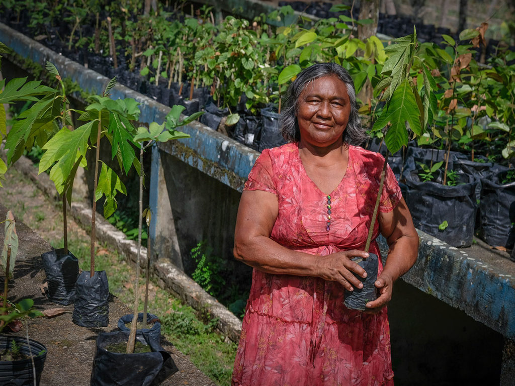 No Amazonas, insegurança alimentar grave atinge agricultura familiar, que sofre com as consequências da crise do clima.