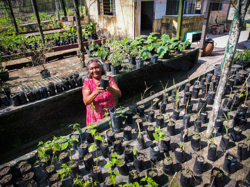 No Amazonas, insegurança alimentar grave atinge agricultura familiar, que sofre com as consequências da crise do clima.