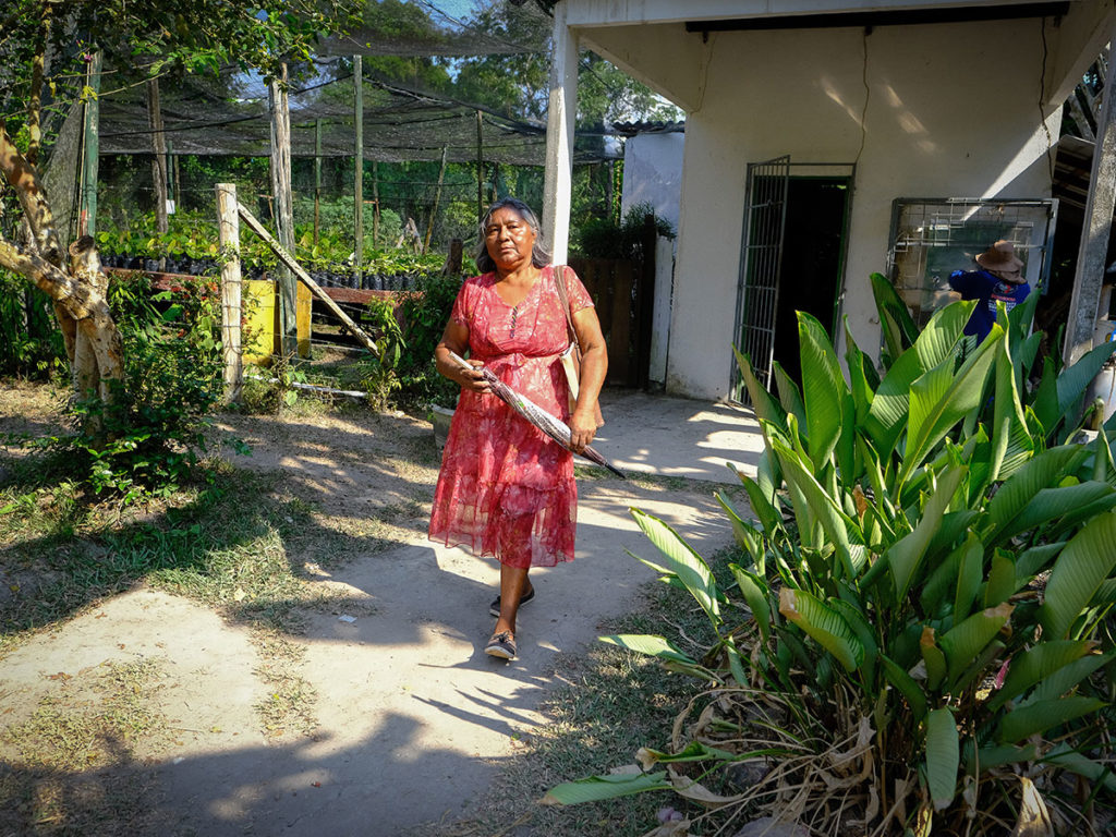 No Amazonas, insegurança alimentar grave atinge agricultura familiar, que sofre com as consequências da crise do clima.