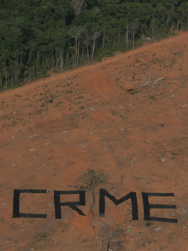 modefica-pesquisas-JORNALISMO-ENGAJAMENTO-CLIMATICO-divulga-WEBSTORIES-CAPA